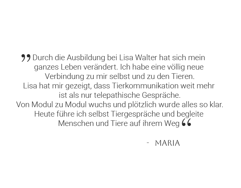 Testimonial-Profiausbildung-4