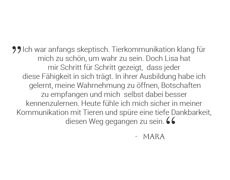 Testimonial-Profiausbildung-5